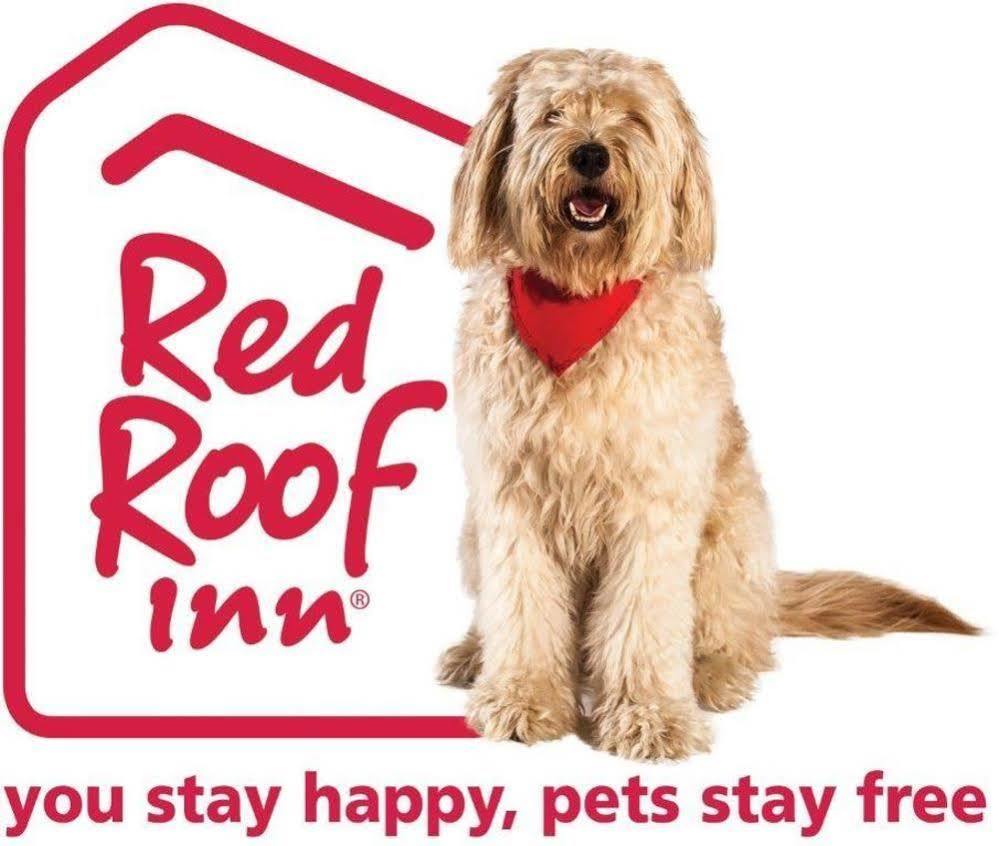 Red Roof 2* Santa Ana